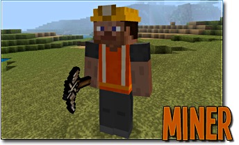 imagen externa Fviki.png