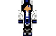 Minecraft On Ice Skin